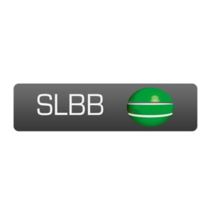SLBB – Strategic Leadership & Business Building